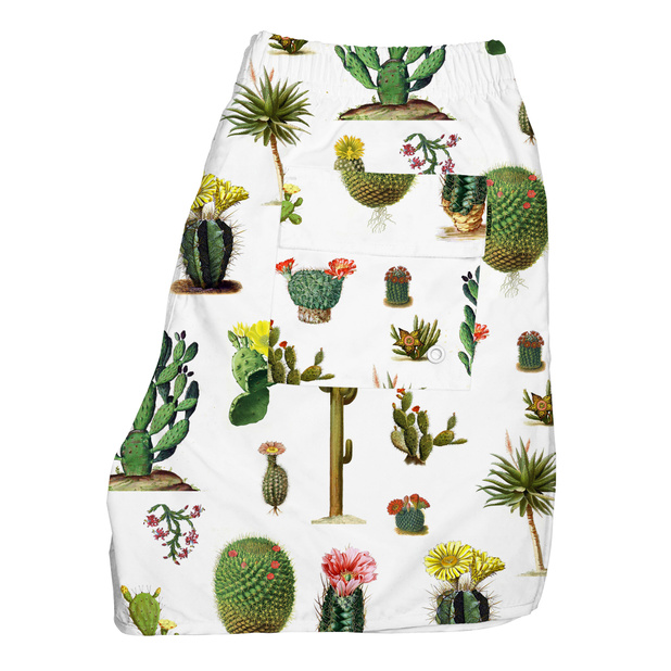 Swim Shorts Cactus