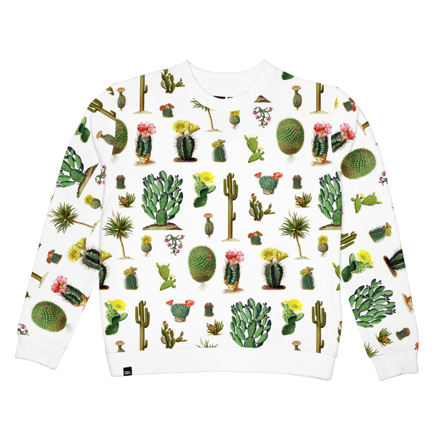 AO Ystad Cactus